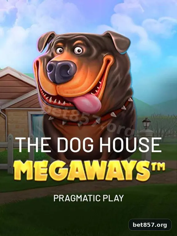 Níveis do programa VIP da bet857
